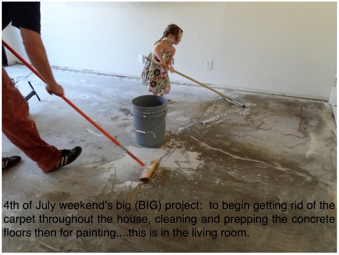 Tackling the Floor! (and....The Skunks Come Out at Night)